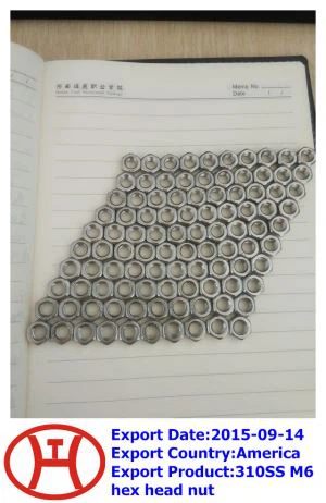 310 SS M 6  kuuskantmutter