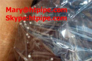 Sulami B 2  poltmutter pesur