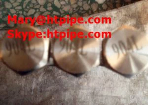 Legeeritud  925  poltmutter pesur