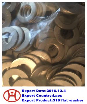 SS 316  tasane pesumasin